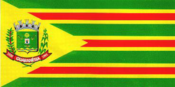 Bandeira guaranesia